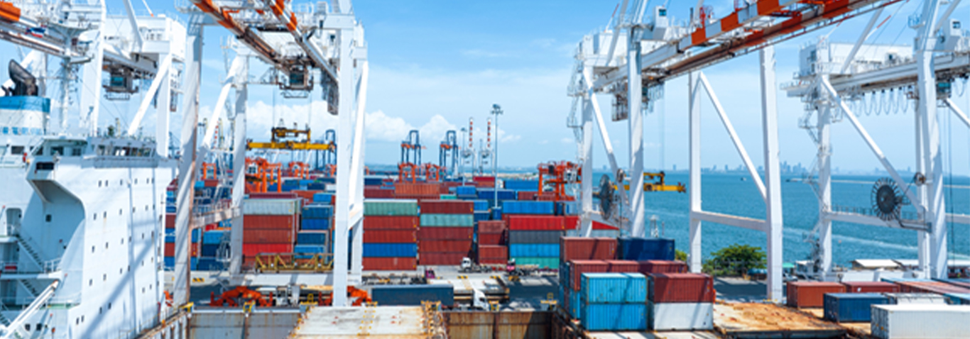 Cold Room Storage for E-Commerce Grocery Delivery: A Backbone for Freshness, Efficiency, and Growth
