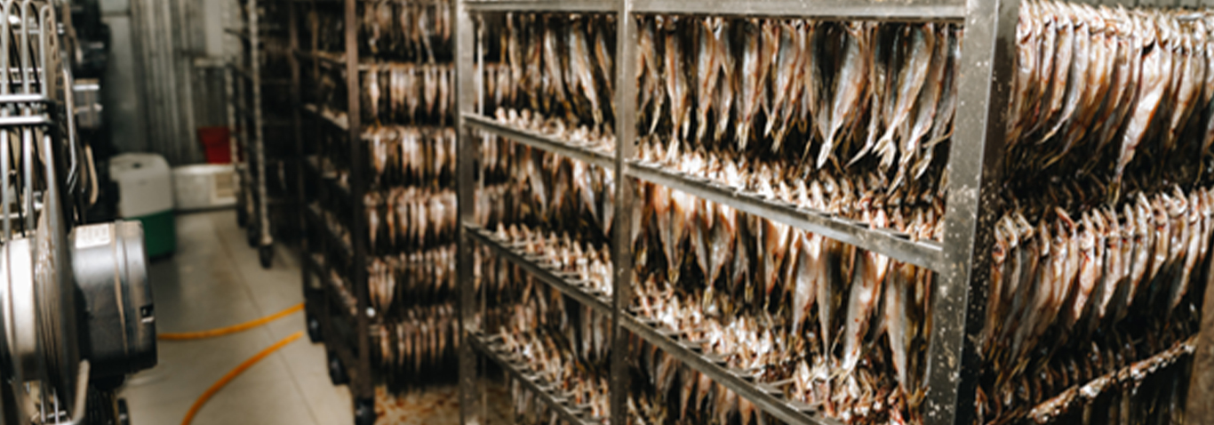 Challenges in Cold Storage for Seafood Exports