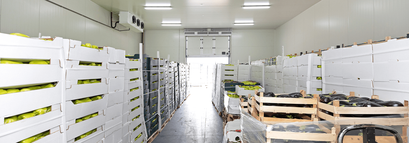 Cold Room Construction Checklist for Logistic Park Developers