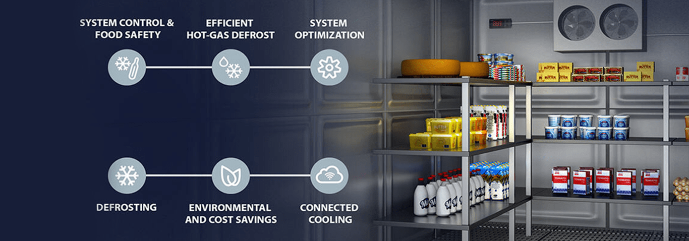 The Impact of Coldroom Design on Delivery Timeframes