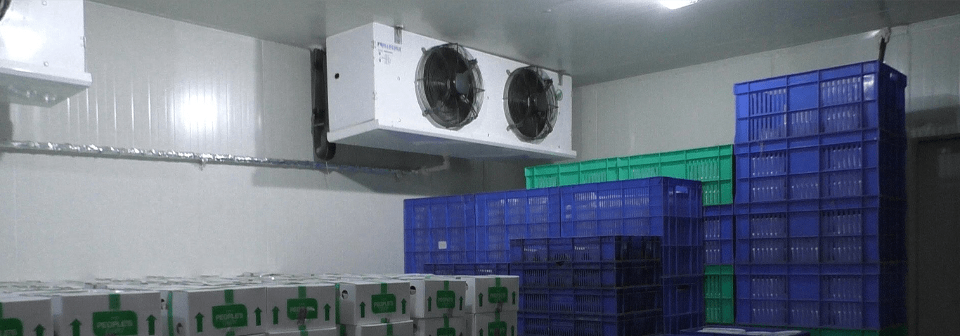 Walk-in Chiller Solutions for Cold Chain Fulfillment Centers