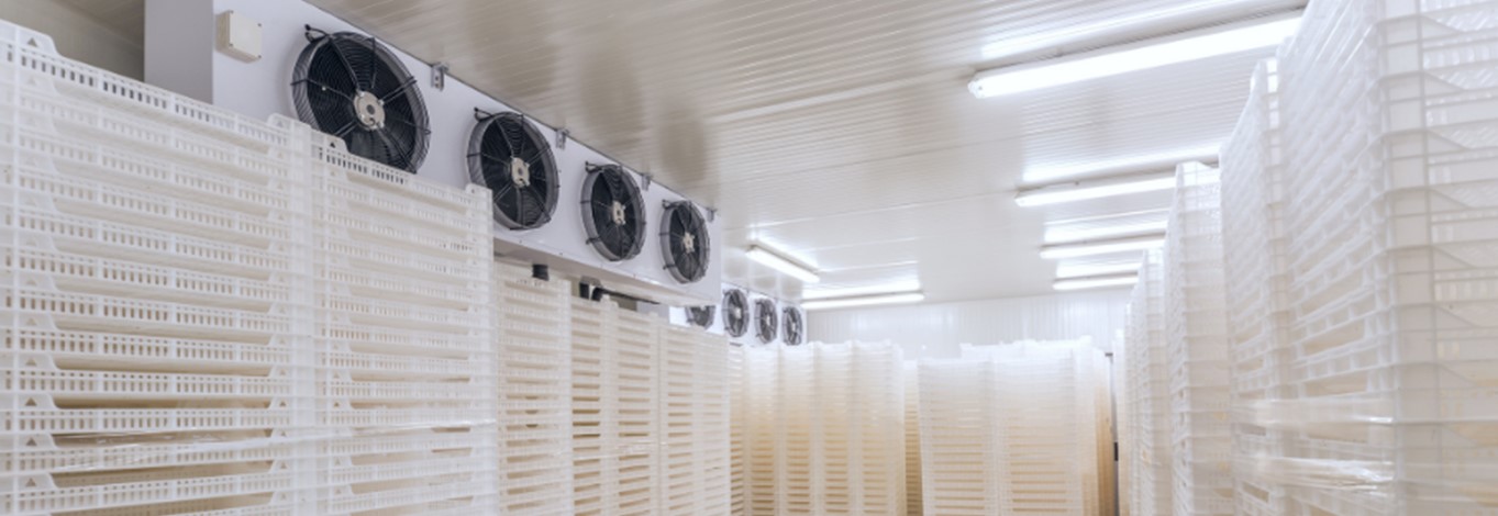 Cold Room Storage Planning for Time-Definite Delivery Networks