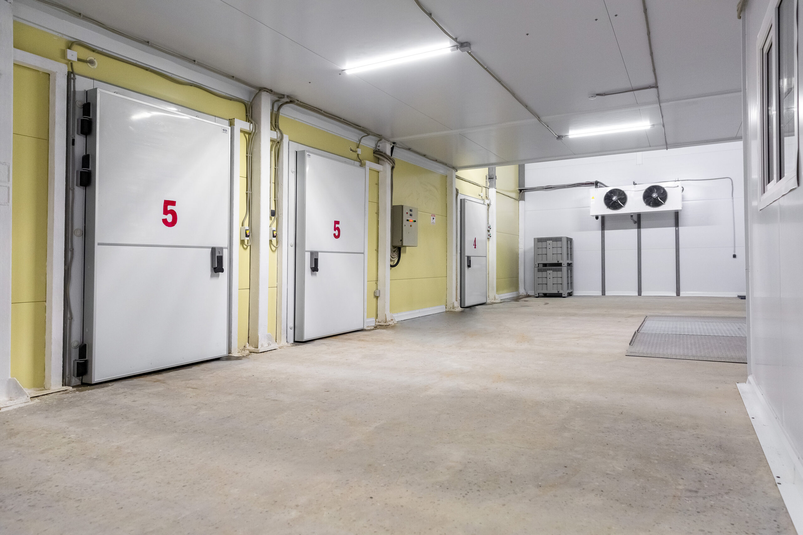 Cold Room Rental in Singapore: A Complete Guide for Businesses