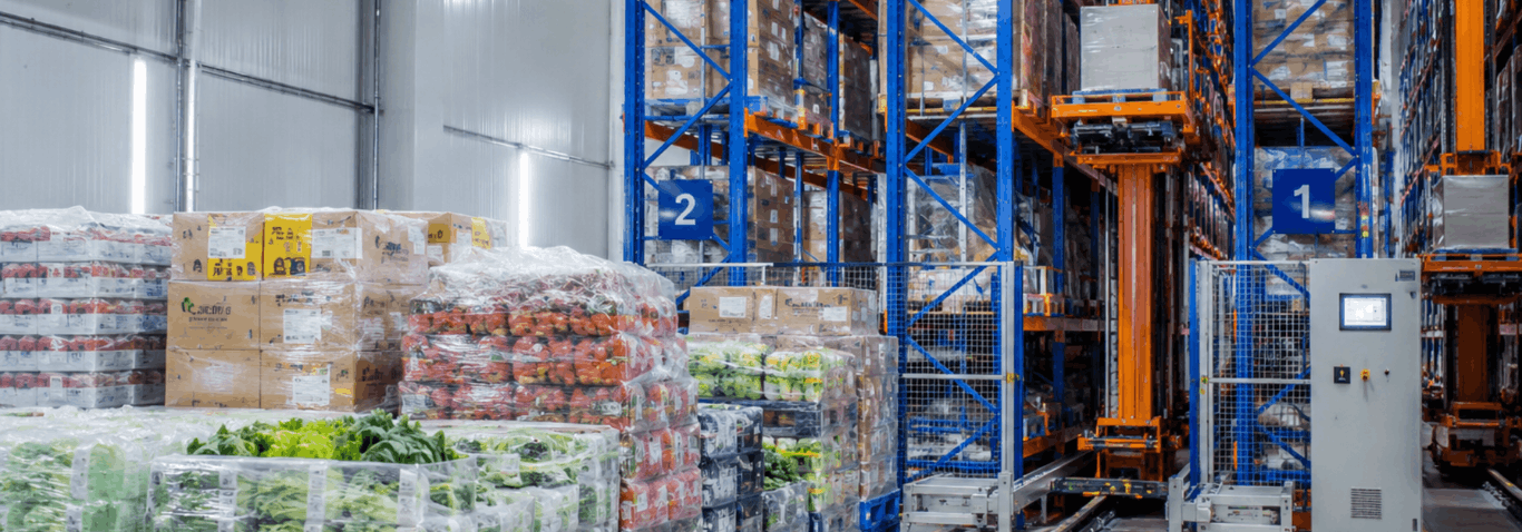How ASRS Improves Efficiency in Cold Storage Warehouses