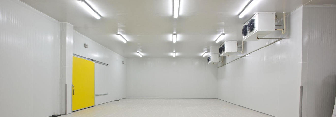How Much Does a Custom Walk-In Freezer Cost in Singapore?